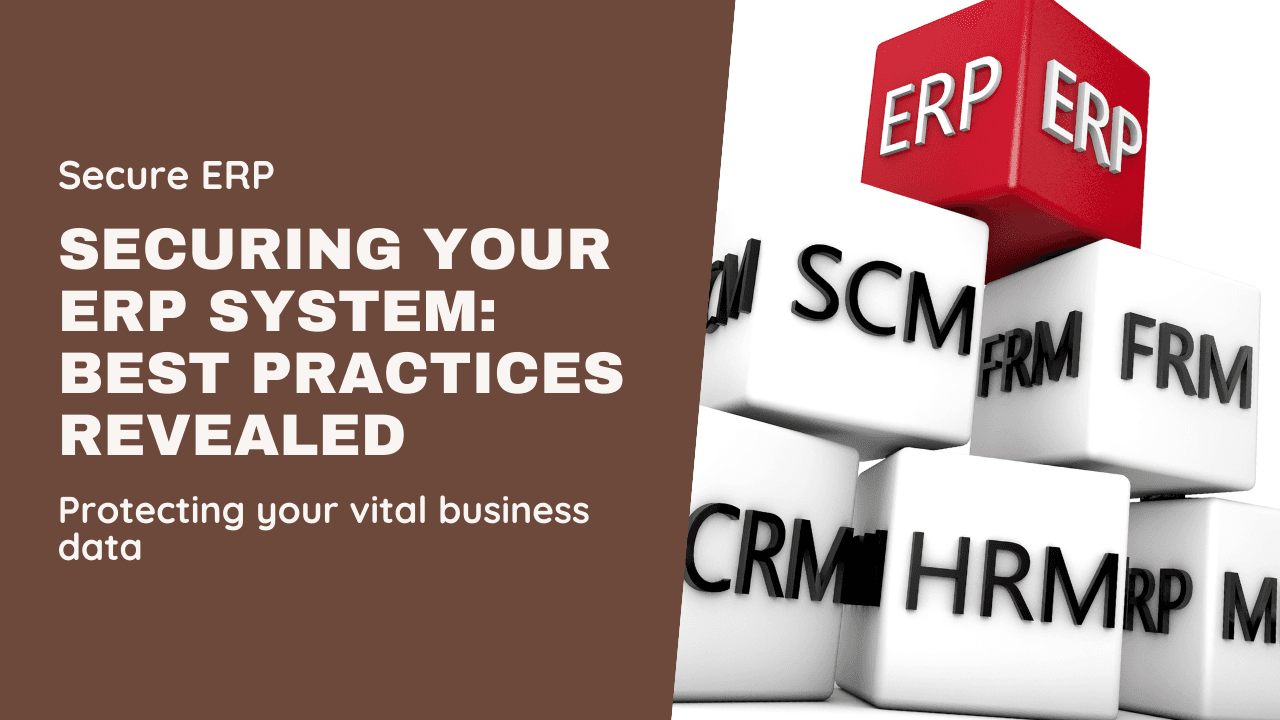 How to Secure Your ERP System