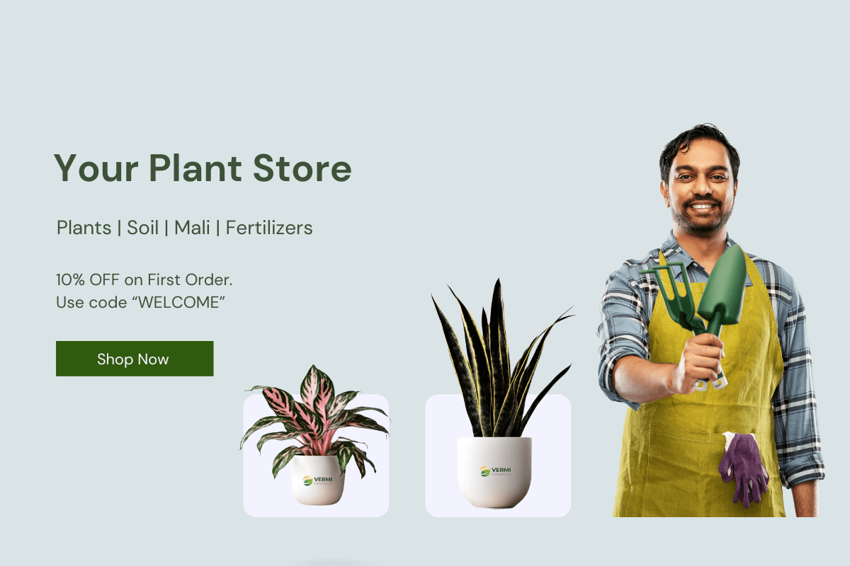 Vermi Organics