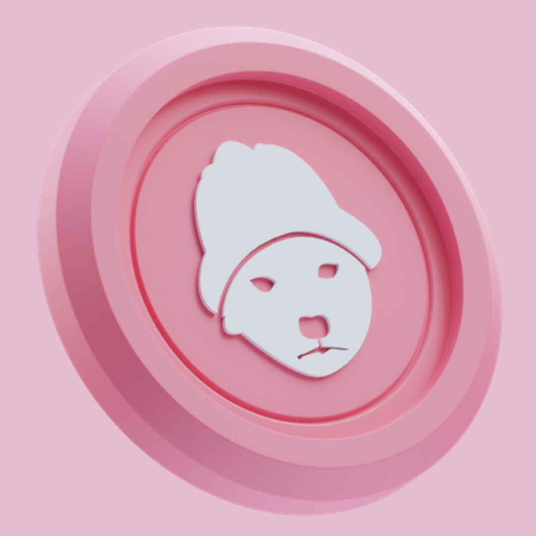 Meme coin